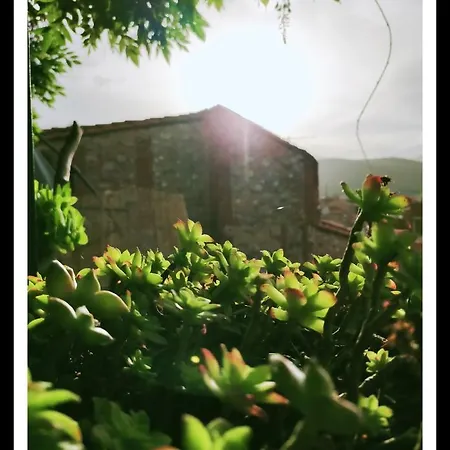 La Belle D'ame - Prades (Pyrenees-Orientales)