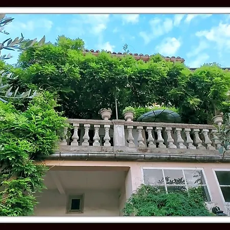 La Belle D'ame -