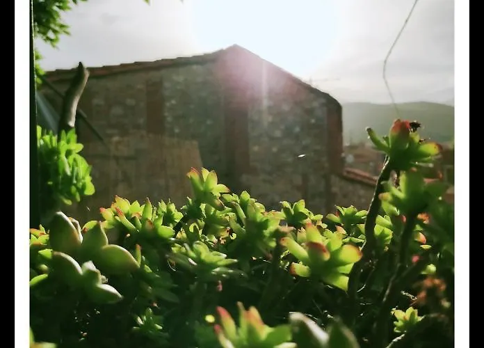 La Belle D'ame - Prades (Pyrenees-Orientales)